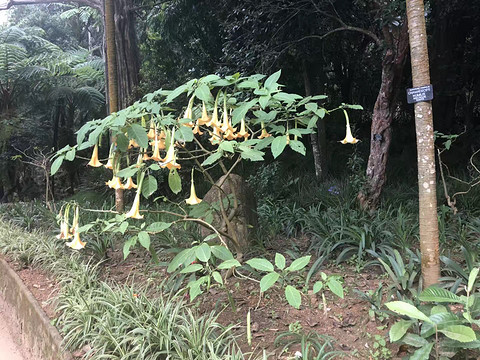 以前正常日子的飞行记录 一个人的斯里兰卡游 回程遇到最严安检 第一次搭乘**33L