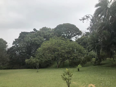 以前正常日子的飞行记录 一个人的斯里兰卡游 回程遇到最严安检 第一次搭乘**33L