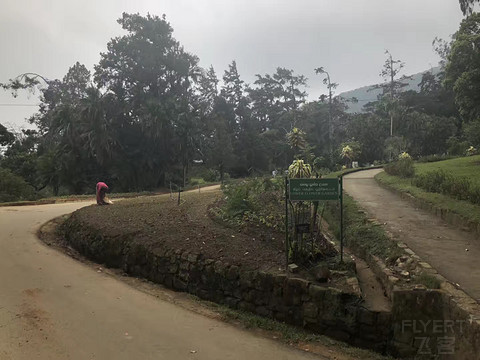 以前正常日子的飞行记录 一个人的斯里兰卡游 回程遇到最严安检 第一次搭乘**33L