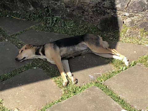 以前正常日子的飞行记录 一个人的斯里兰卡游 回程遇到最严安检 第一次搭乘**33L