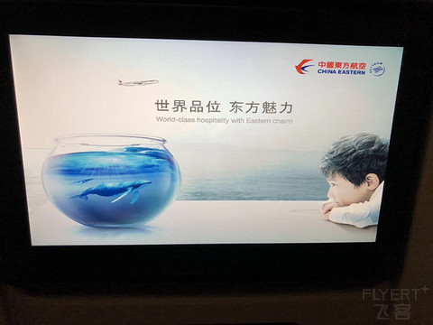 以前正常日子的飞行记录 一个人的斯里兰卡游 回程遇到最严安检 第一次搭乘**33L
