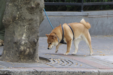 220257ONODBNNXICGDBWXU.png