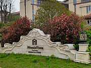 <em>ϲ</em>ڴ<em>Ļ</em>Ƶ ׷