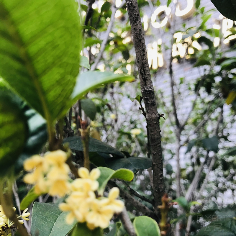 121343EUUDYZHJOQPIPSRJ.png 121343EUUDYZHJOQPIPSRJ.png