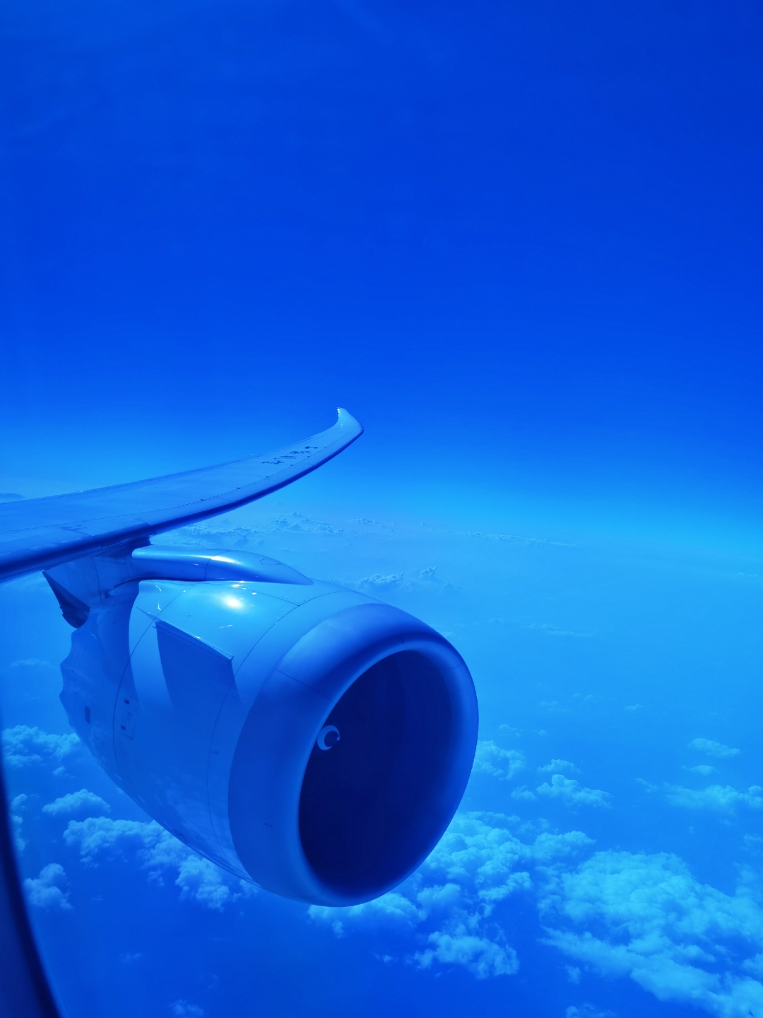 ݰCANϺSHAϺ787