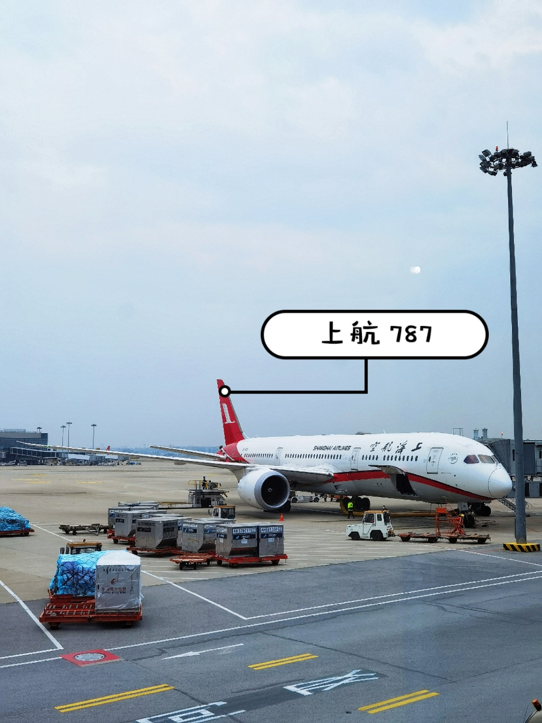 ݰCANϺSHAϺ787