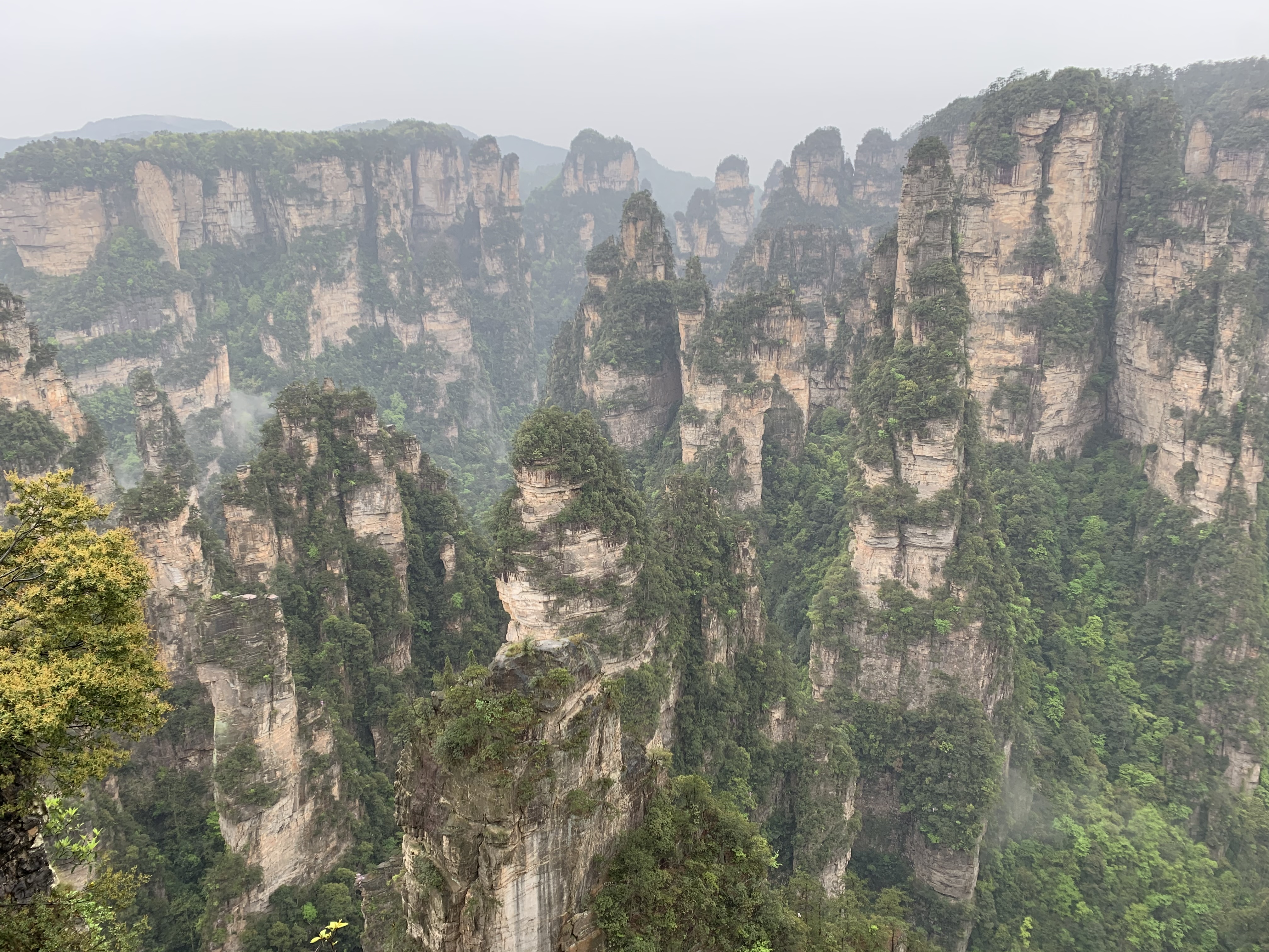 Your playground in Zhangjiajie - żҽ義䲬Ƶס