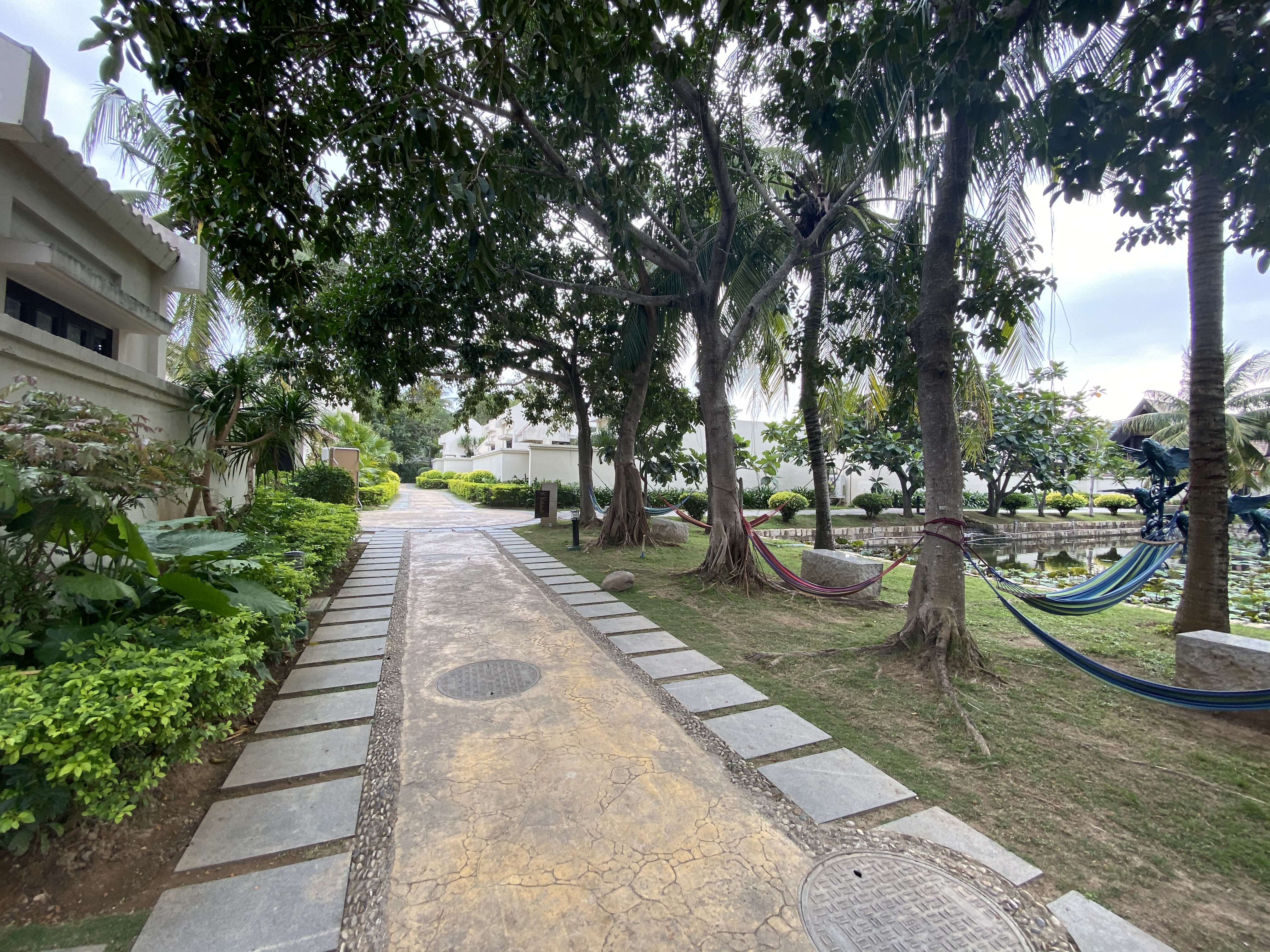 ֮岬