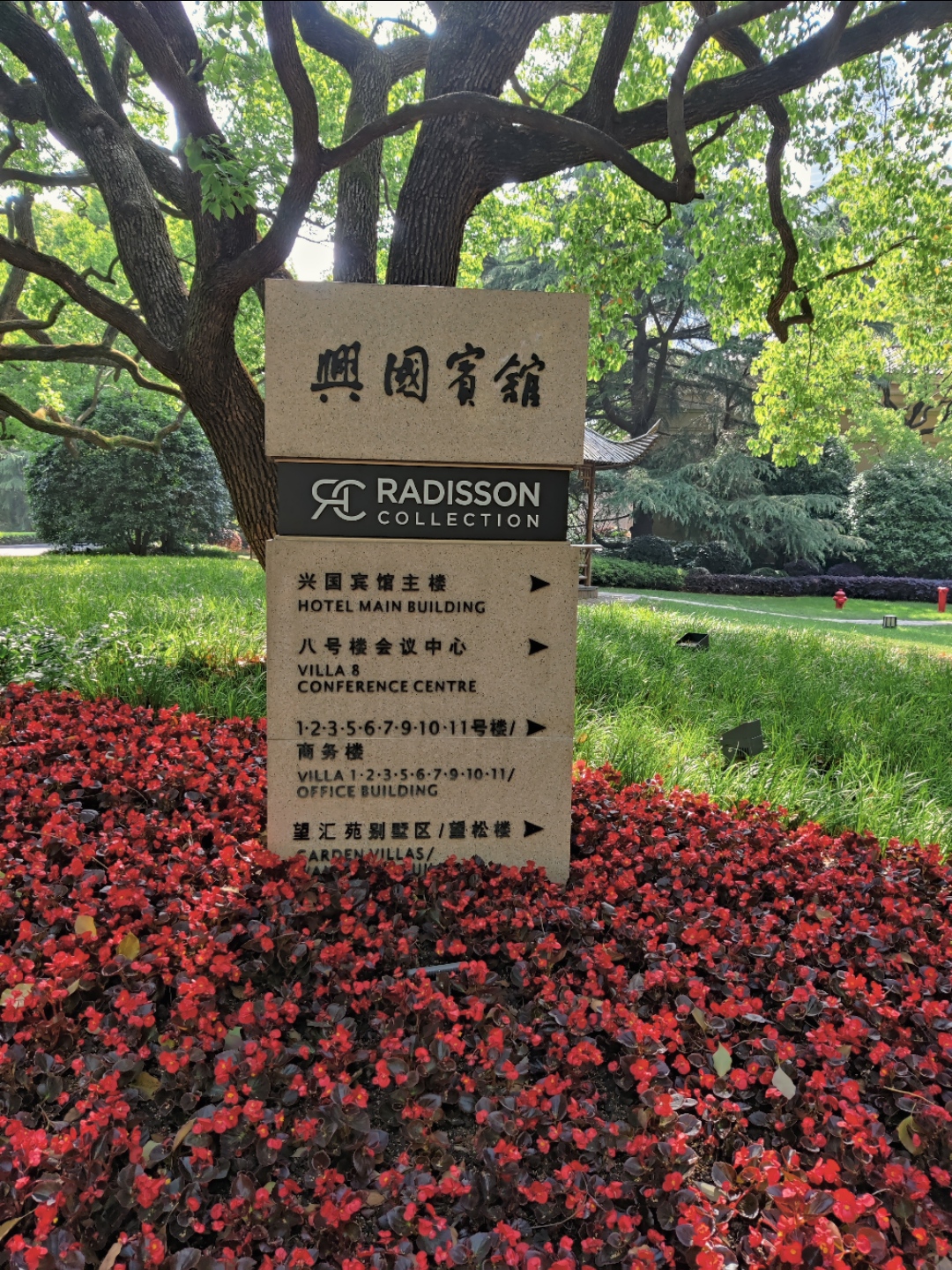 Radisson Collection~˹ϱ