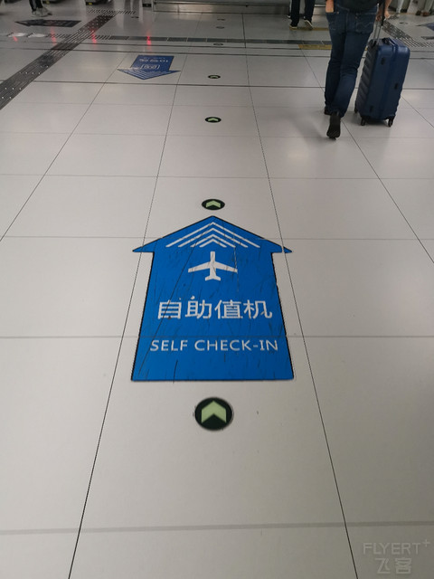 板鸭航评—PEK-YNT