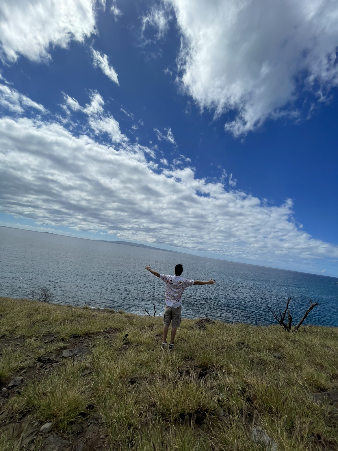 ï˵Maui The Westin Nanea Ocean Villas