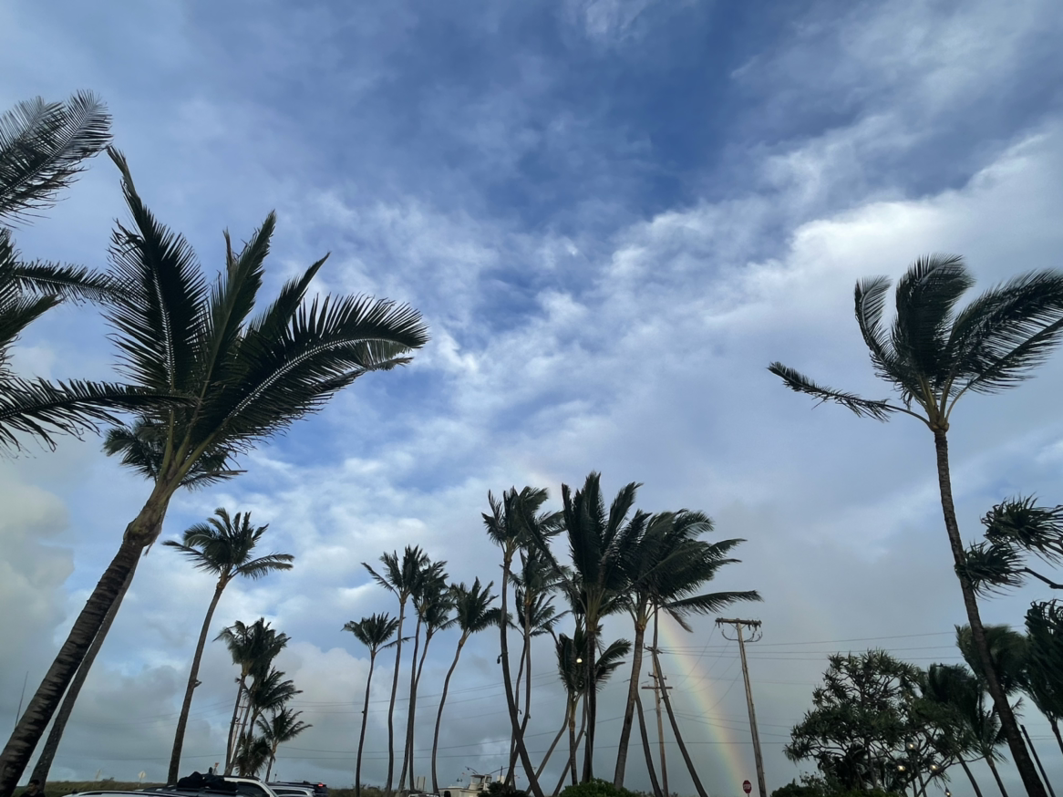 ï˵Maui The Westin Nanea Ocean Villas