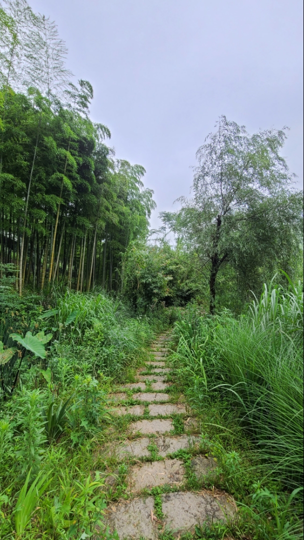 ĻǺƯ Ǯʻǿסһµ