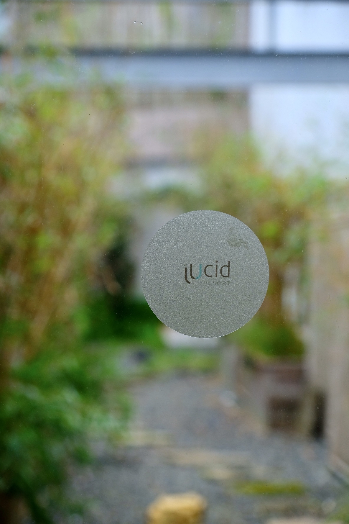 ϦɽȻ®@The Lucid ®̨