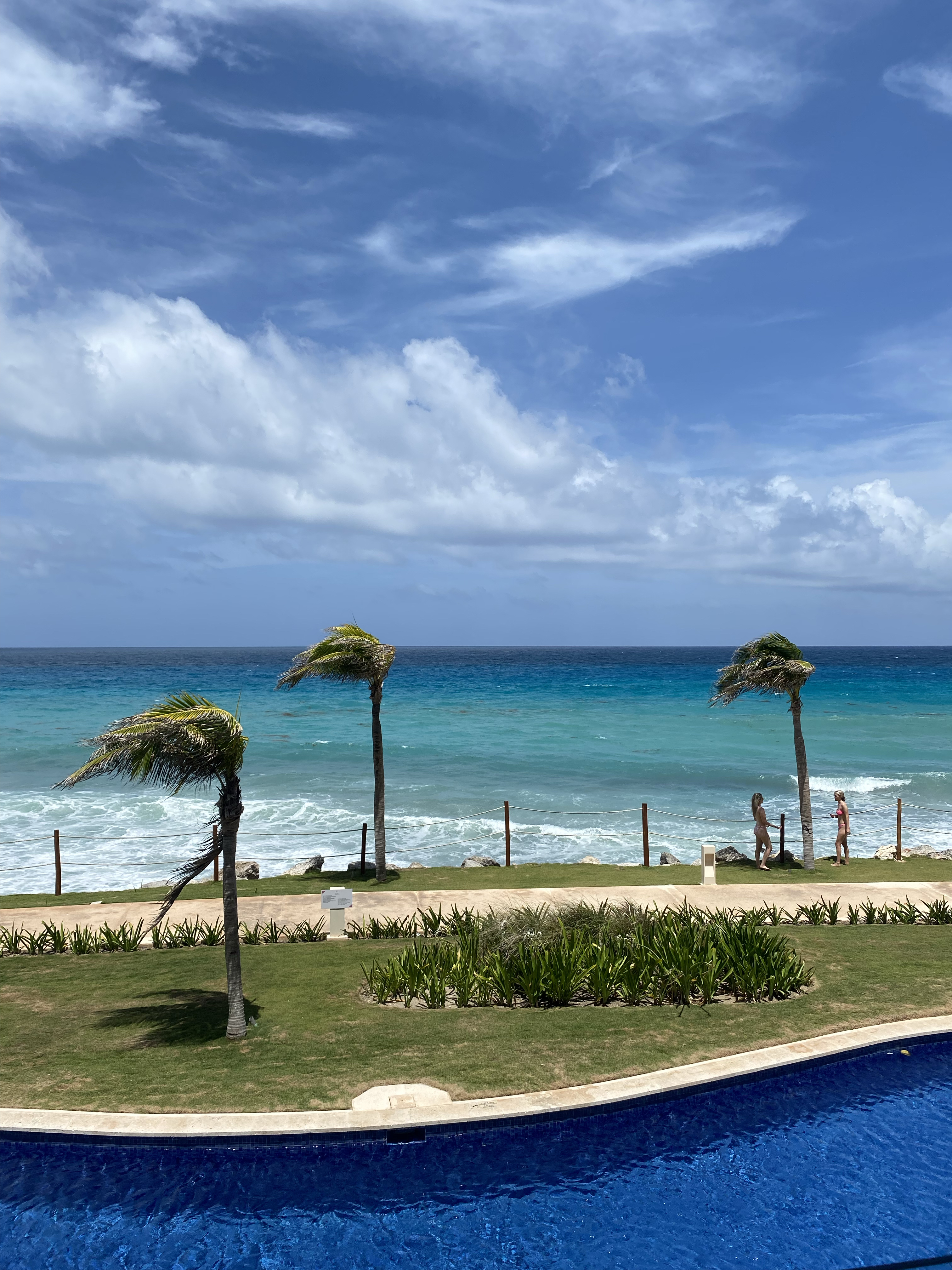 ʵʱHyatt Ziva Cancunı