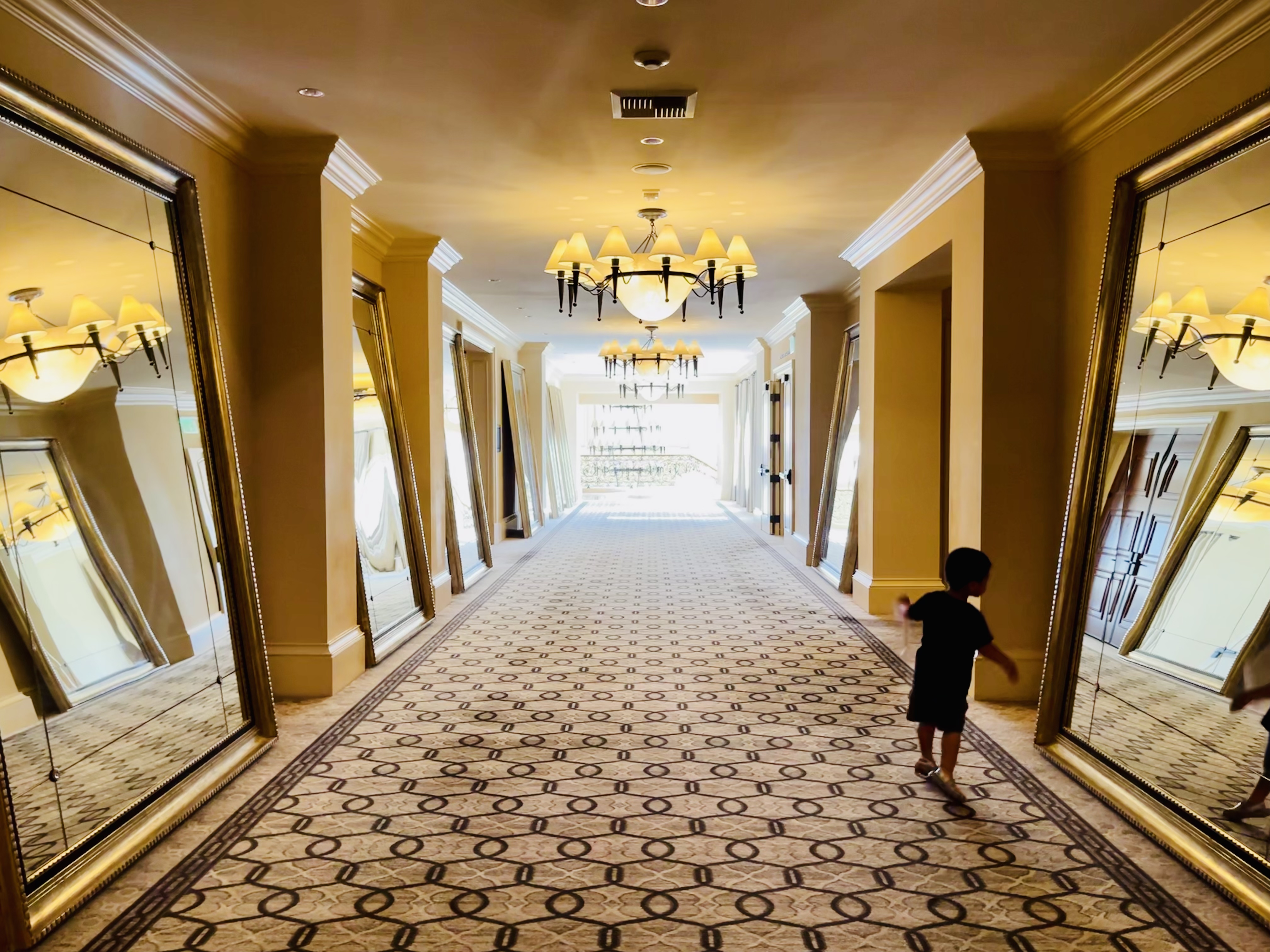 Я޴ Waldorf Astoria monarch beach