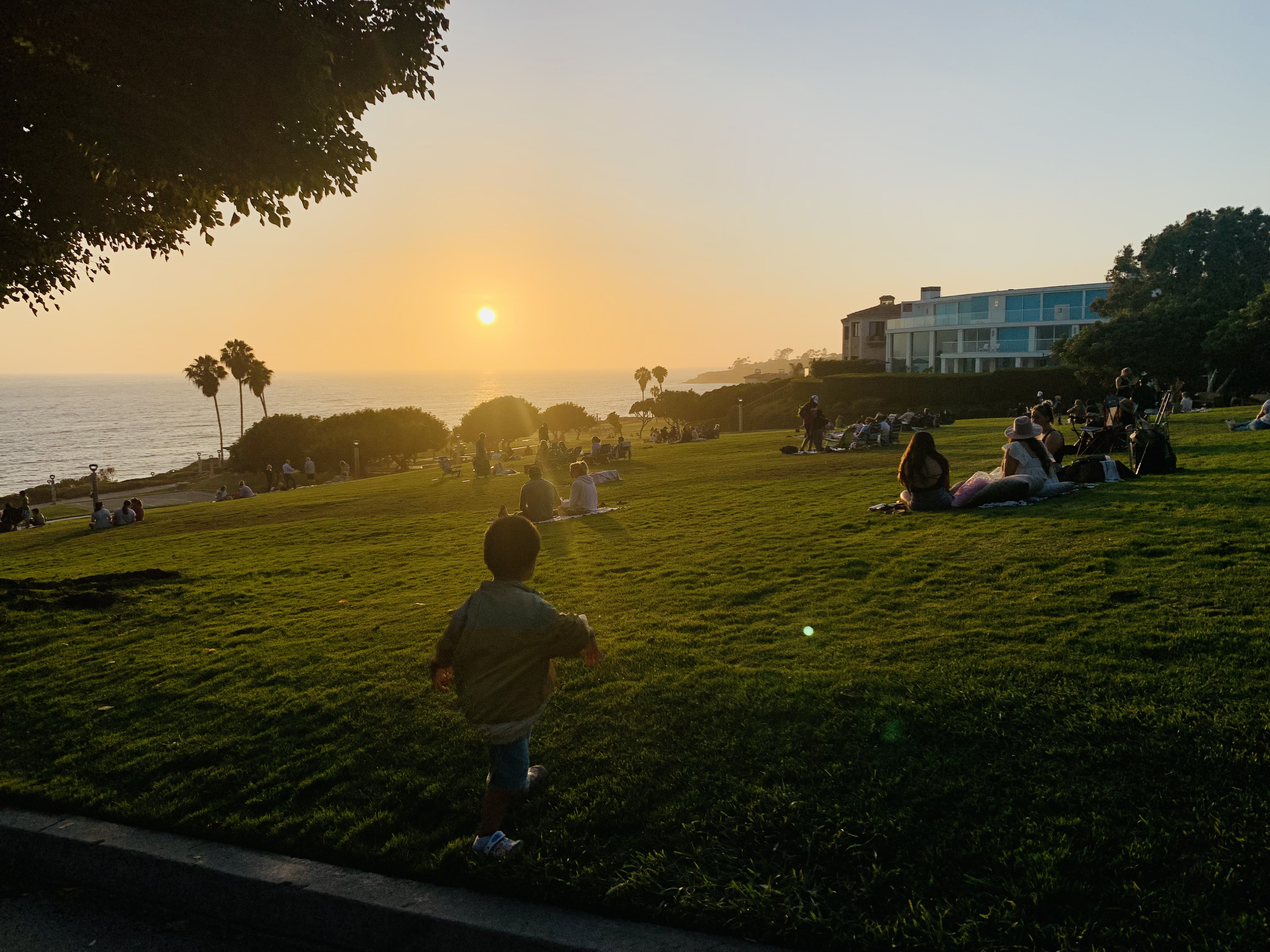 Я޴ Waldorf Astoria monarch beach