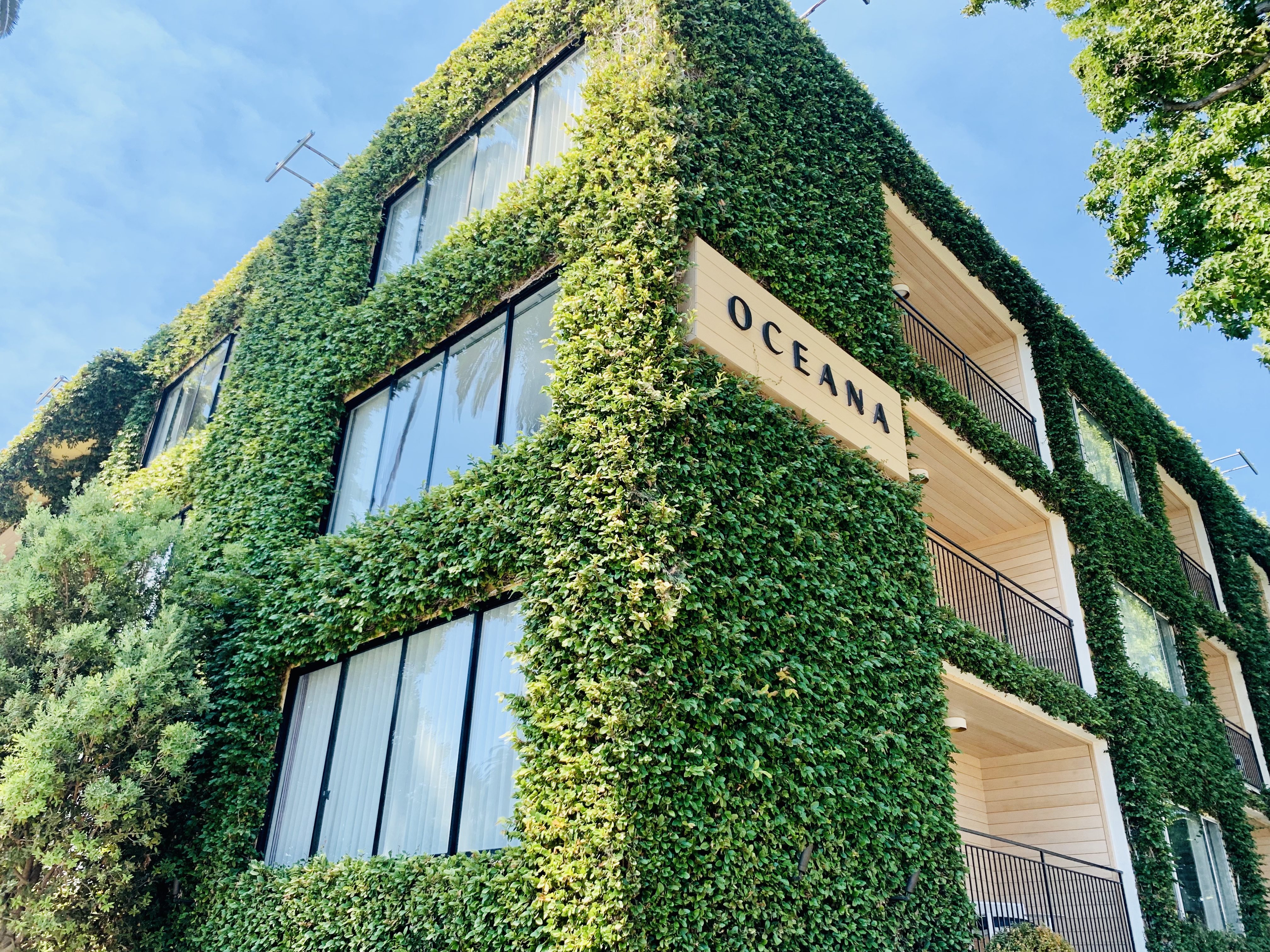 Я޴ʥĪݿOceana Santa Monica, LXR Hotels&Resorts µ