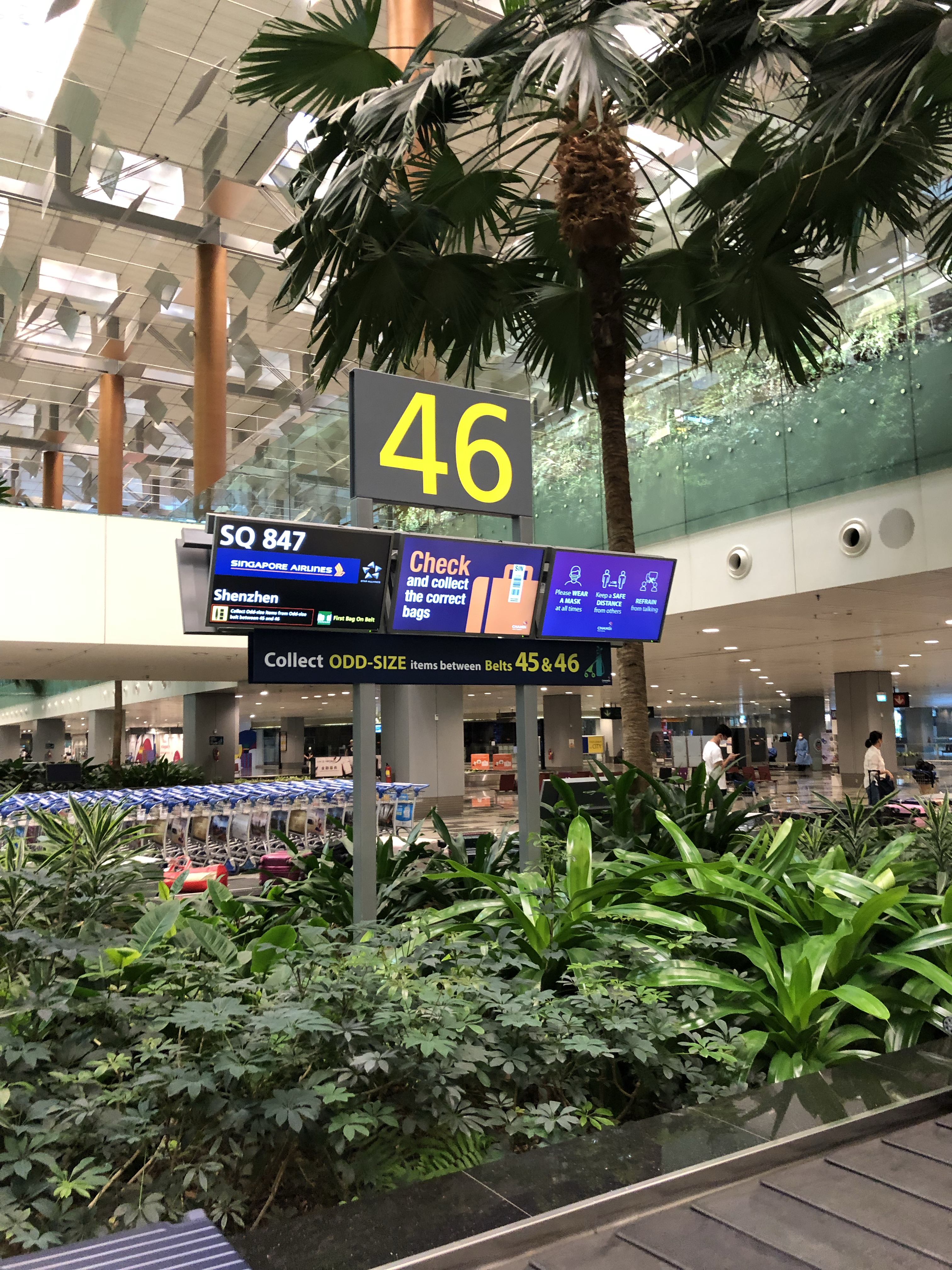 ºSQ847 ¼ еշ