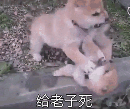 ˸գԶѧϰ