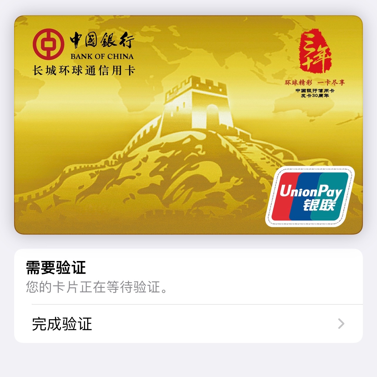 ׽ Apple Pay 𿨿