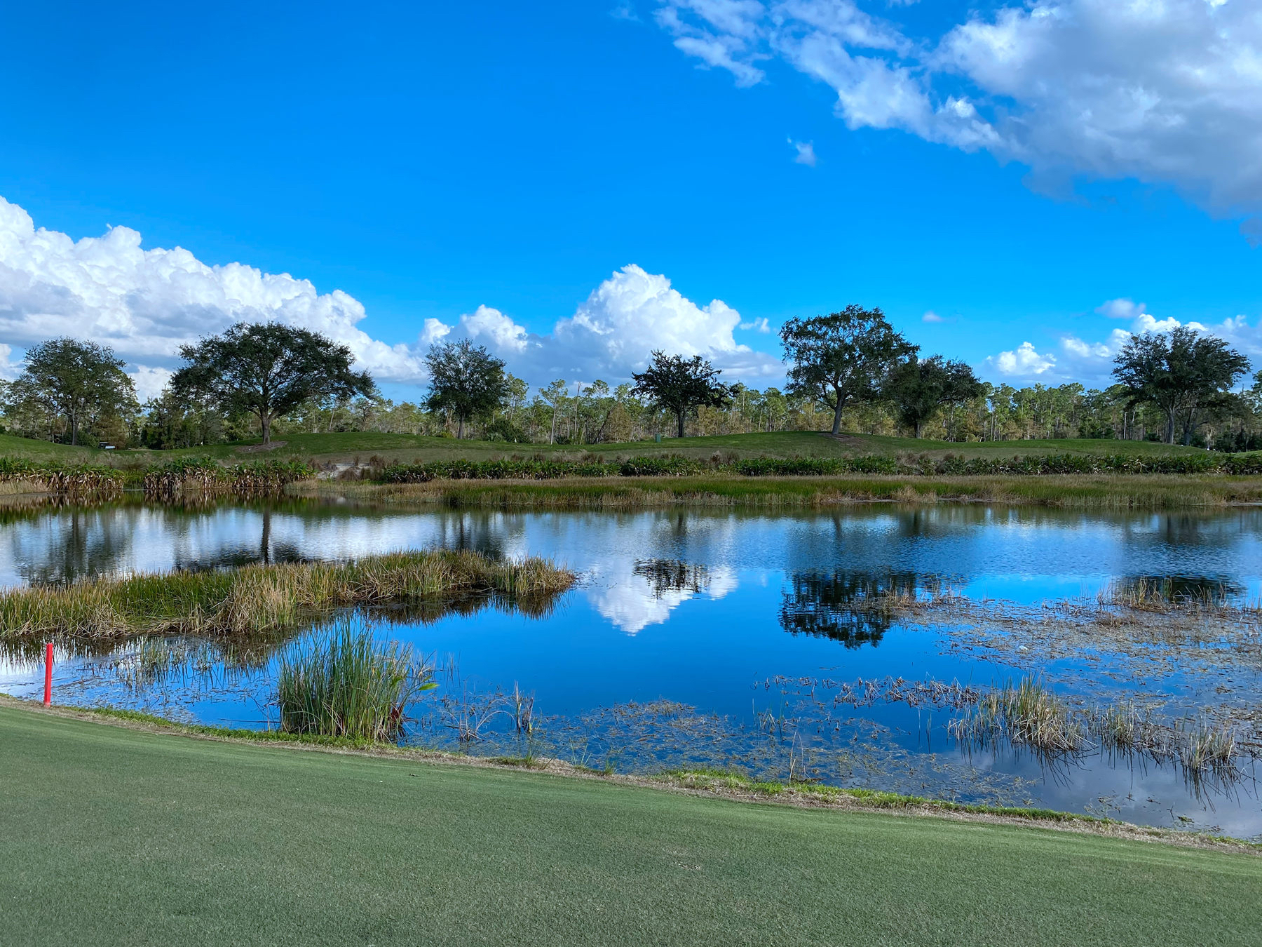 ̳׷ | The Ritz Carlton Naples