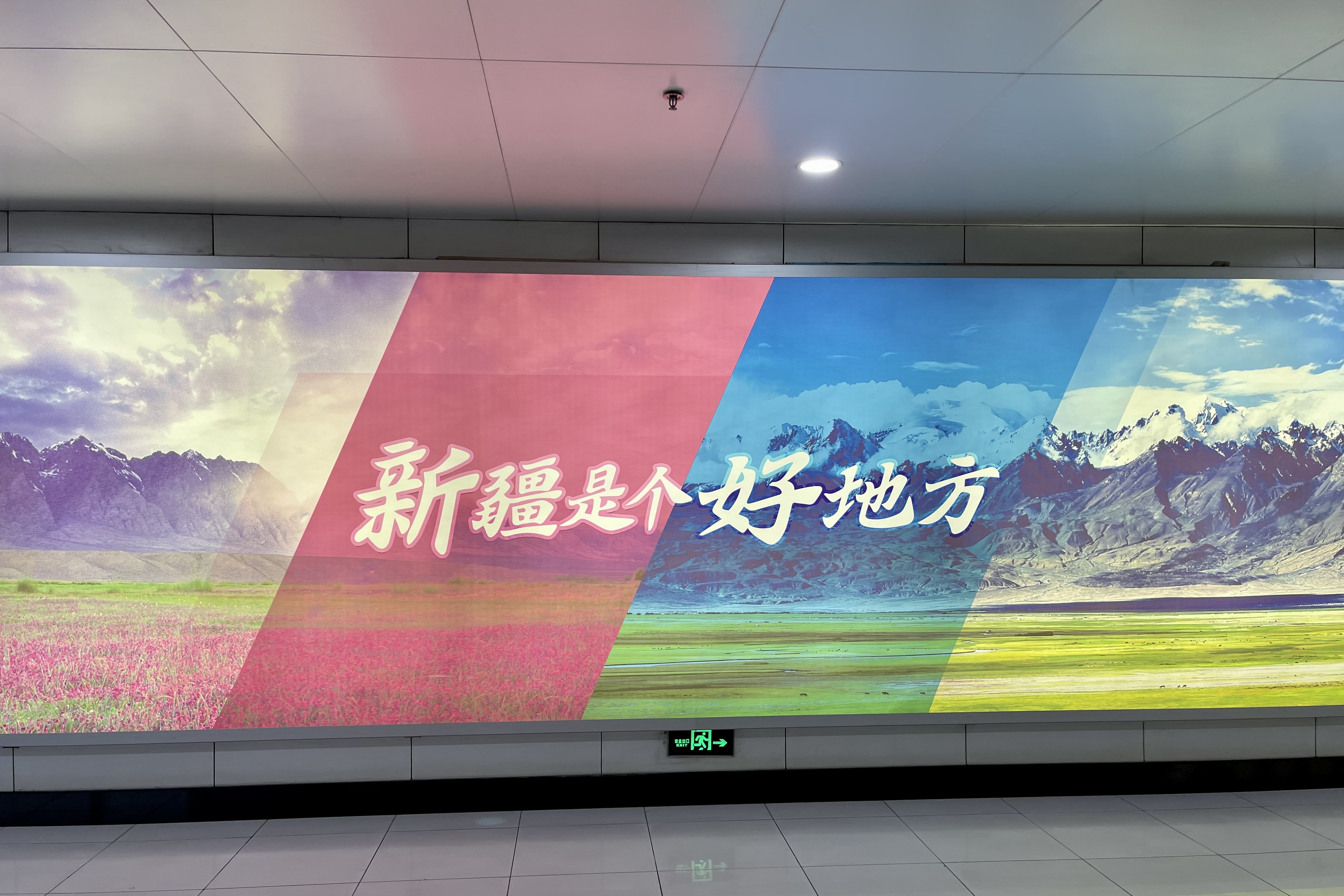 ǧ  HU7145