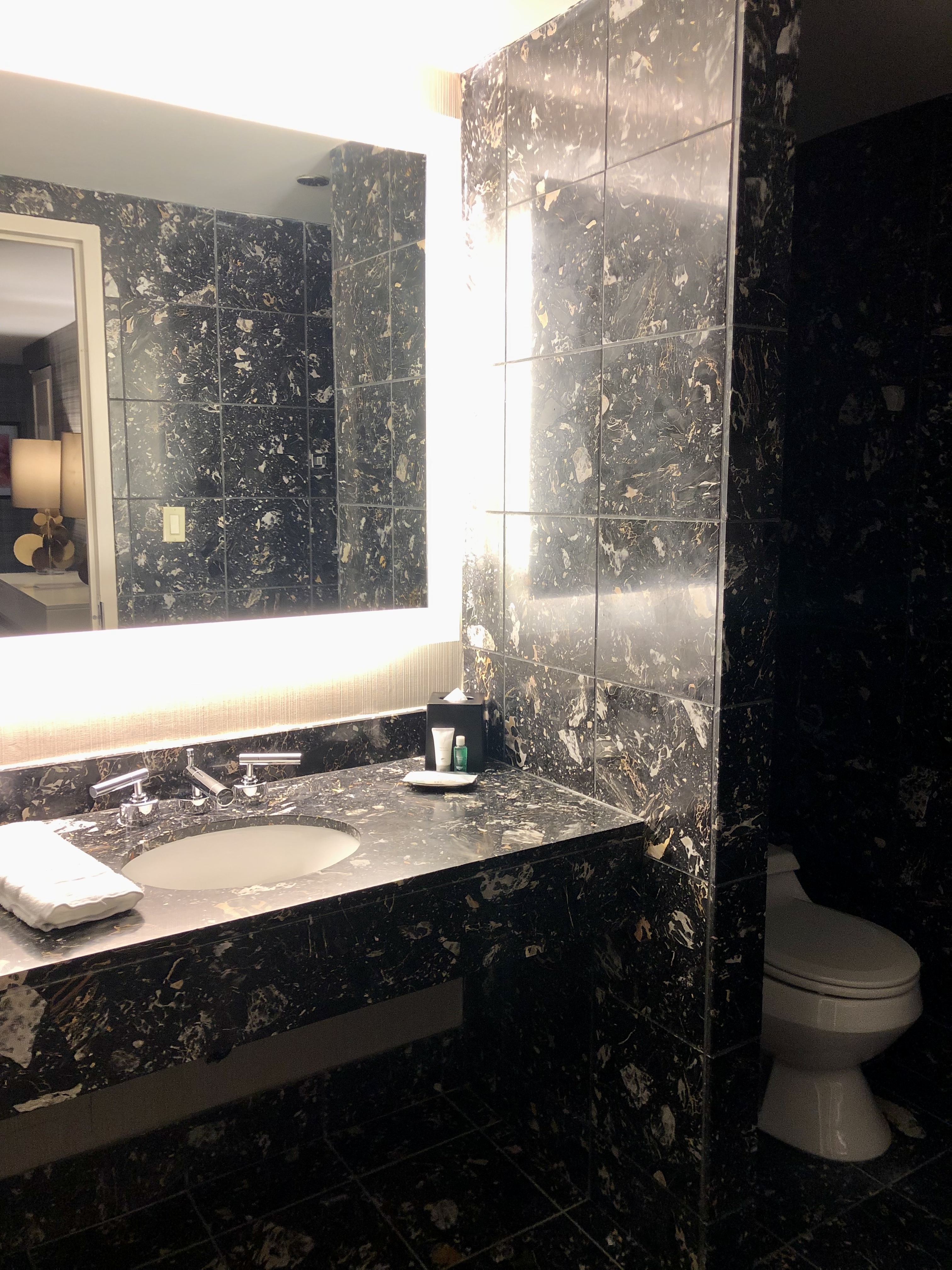  ֥Ӹӱ˹͡Ƶ 
The Westin Chicago River North