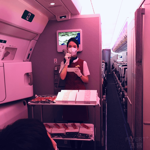 【万物有灵，生生不息】CA1667 PEK-KMG A359公务舱 “万物生长”主题航班体验