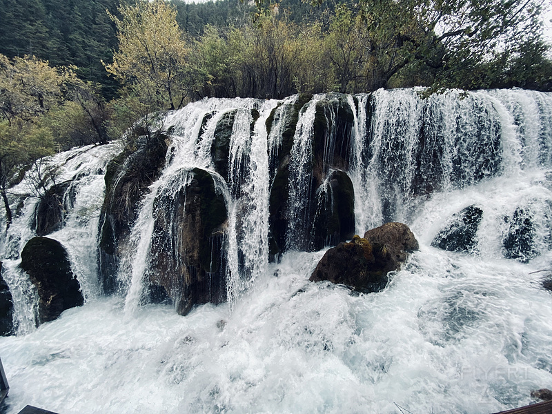 113604UHJCYSBDOGYPLTDL.png 113604UHJCYSBDOGYPLTDL.png