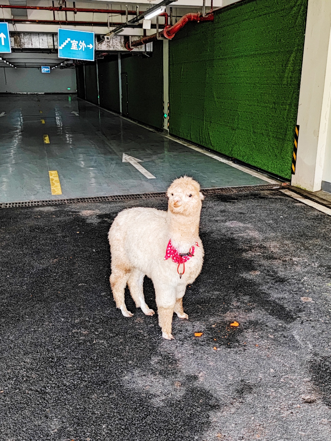 죬·ݣͩ®¾Ƶ׷ס