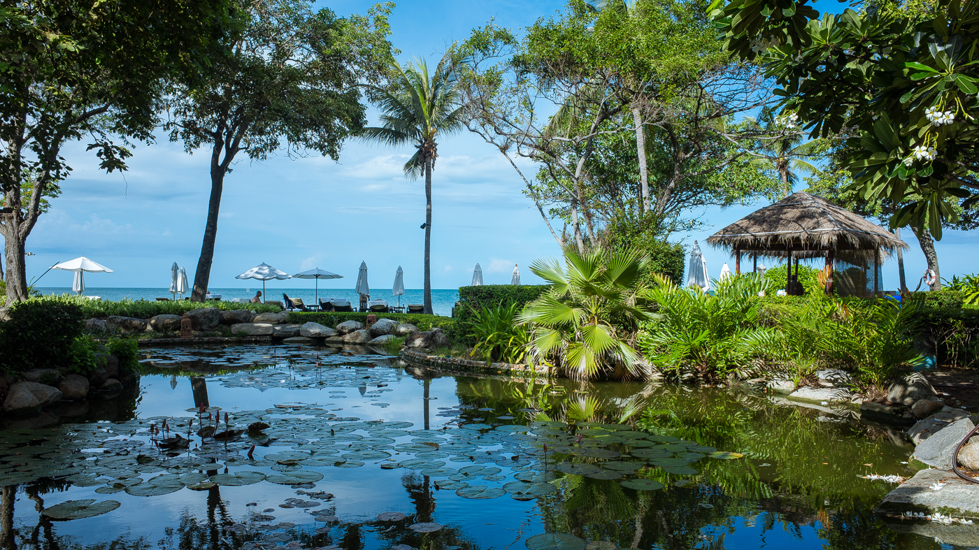 ãHyatt Regency Hua Hin, һҼ߶ȼٸеĿ