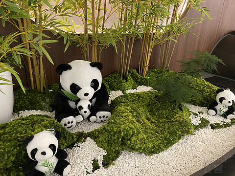自己作出来的疑难杂症飞行！TFU一CKG及CGO明珠休息室报告！