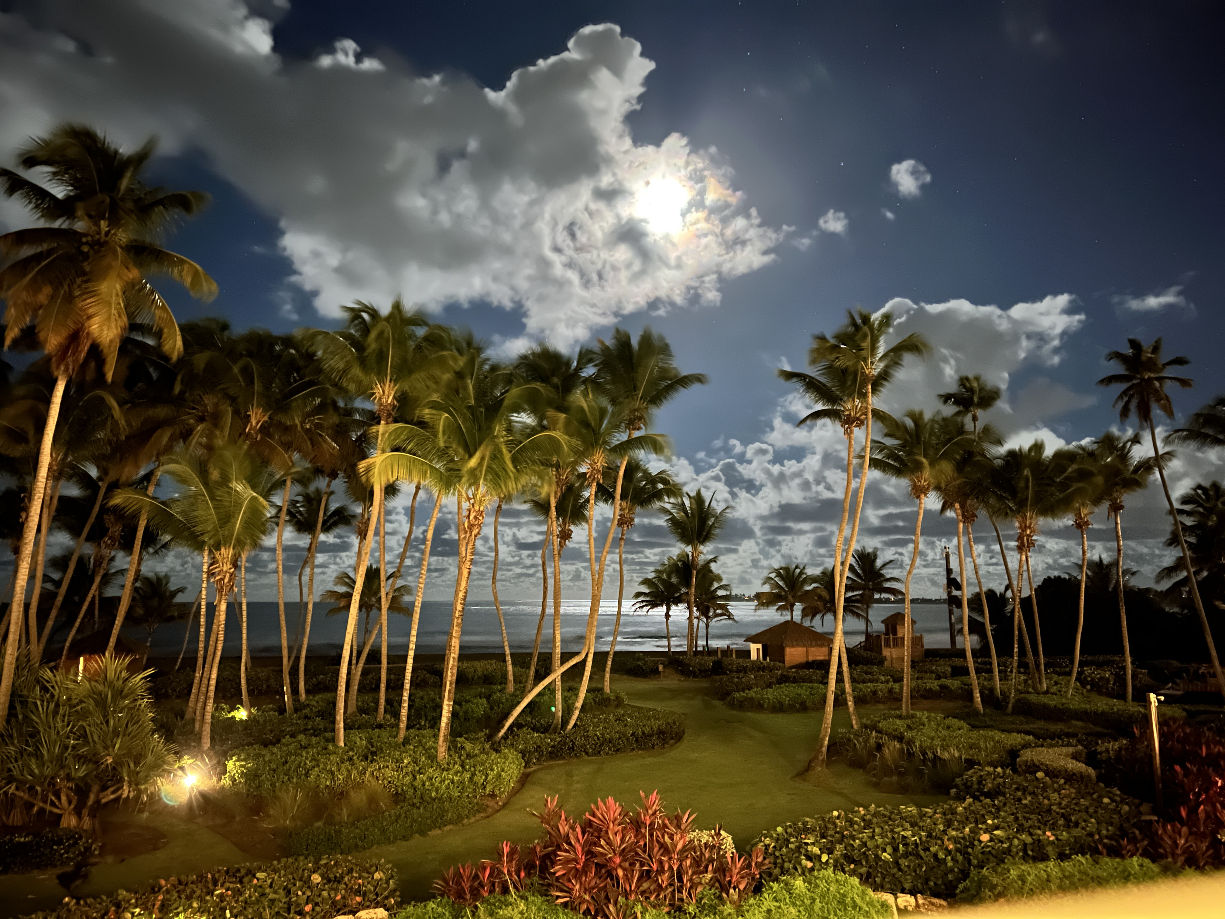 벨ط - The St. Regis Bahia Beach Resort, Puerto Rico