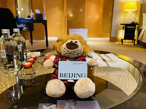 金玉其外败絮其中-北京金融街丽思卡尔顿 The Ritz- Carlton Beijing Financial Street