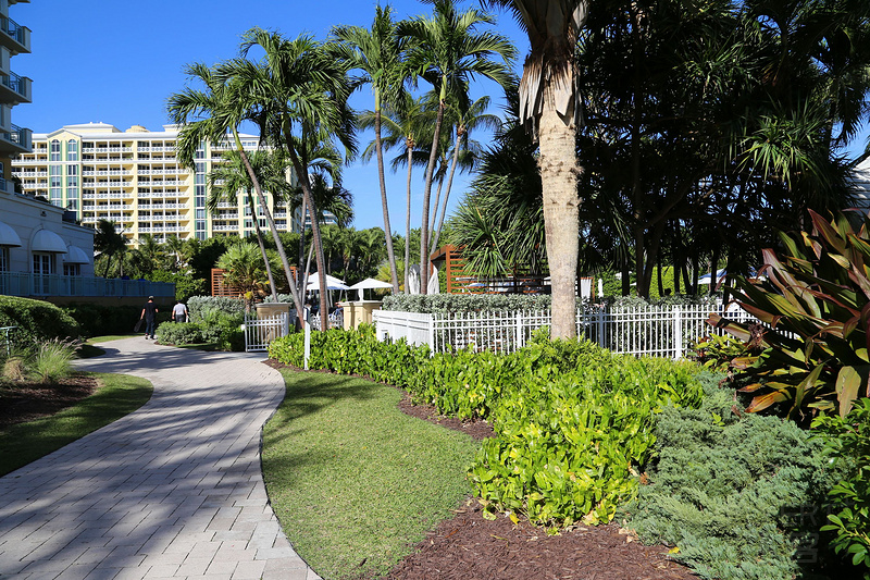 Miami--The Ritz Carlton Key Biscayne Pool and Garden (7).JPG