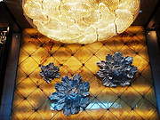 <em>Ļ</em>Ƶ׷ס