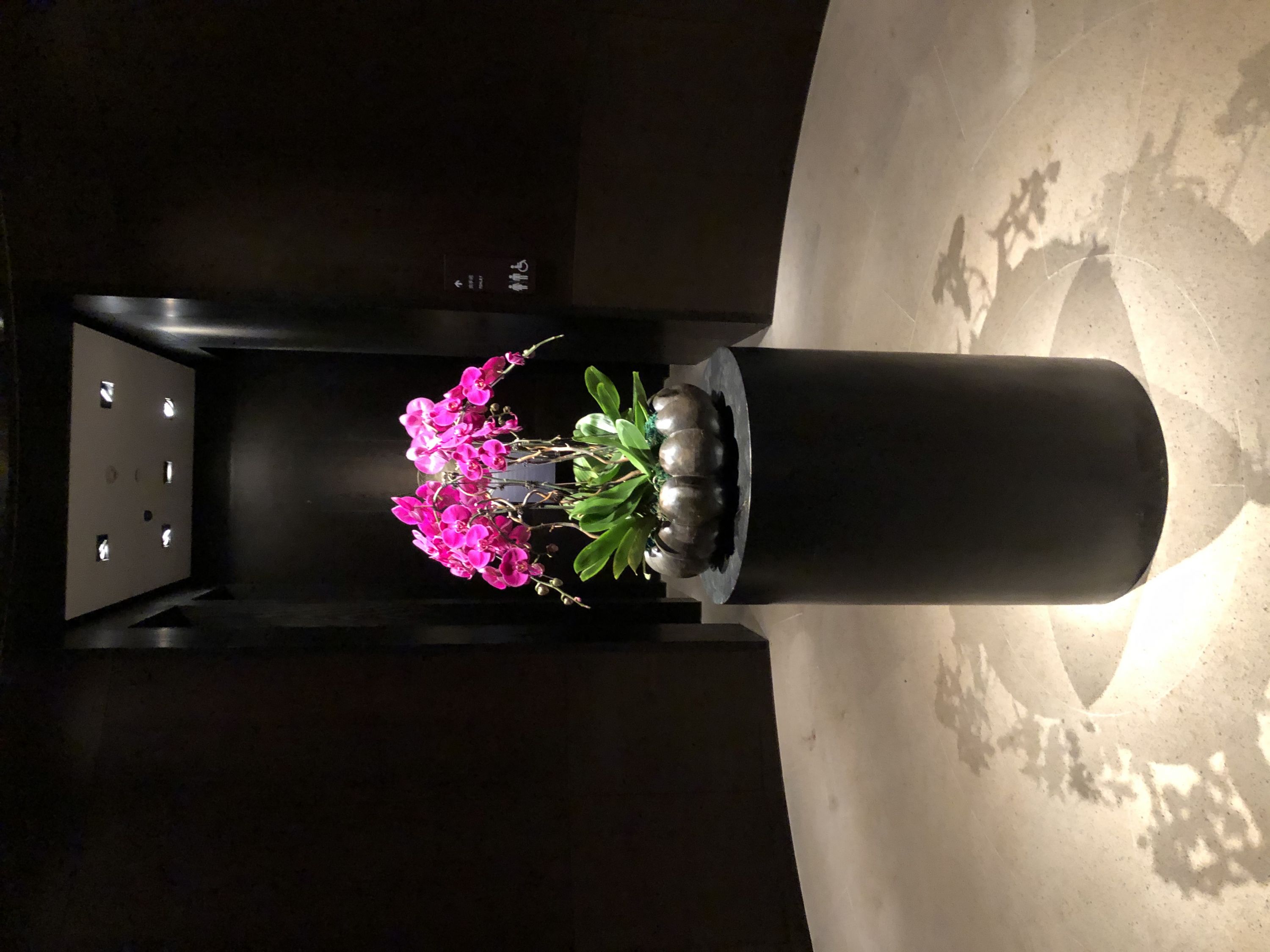 (asiamiles)̶人ȿһ顪Hyatt Regency Wuhan Optics Valley