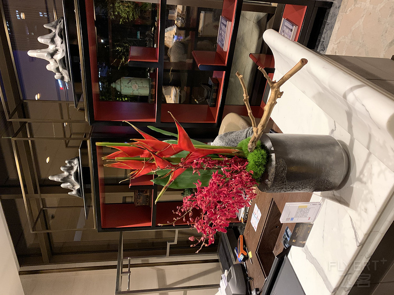 IMG_8790.JPG IMG_8790.JPG
