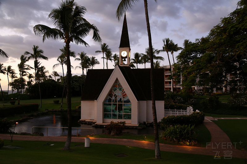 Maui--Grand Wailea a Waldorf Astoria Resort Outdoor Gardens (4).JPG