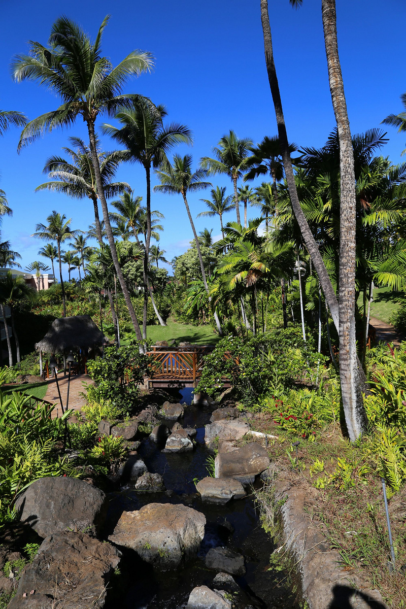 Maui--Grand Wailea a Waldorf Astoria Resort Outdoor Gardens (9).JPG