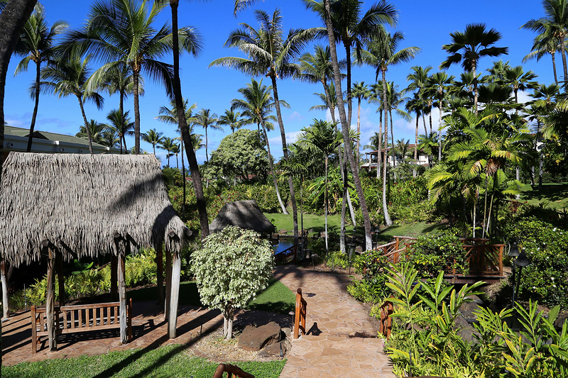 Maui--Grand Wailea a Waldorf Astoria Resort Outdoor Gardens (17).JPG