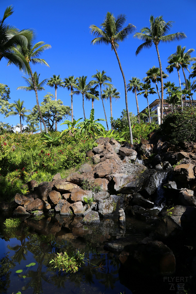 Maui--Grand Wailea a Waldorf Astoria Resort Outdoor Gardens (19).JPG