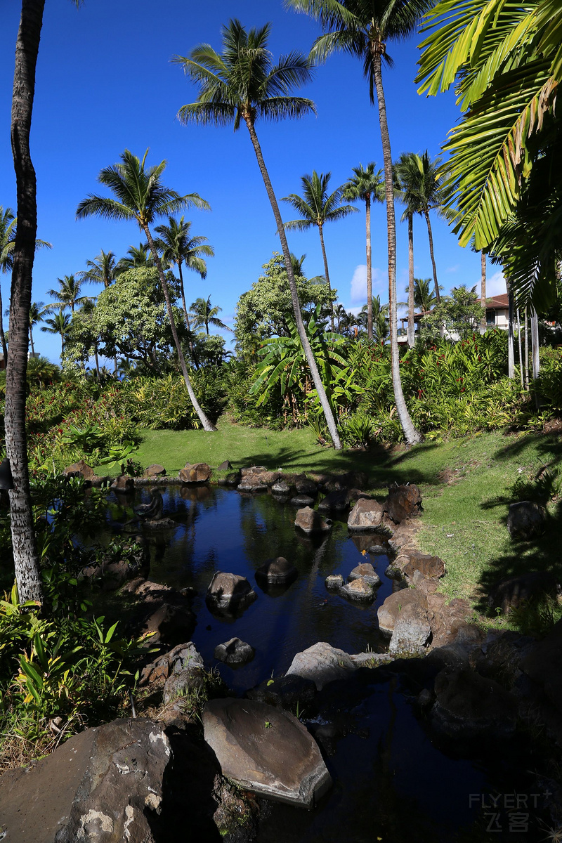 Maui--Grand Wailea a Waldorf Astoria Resort Outdoor Gardens (18).JPG