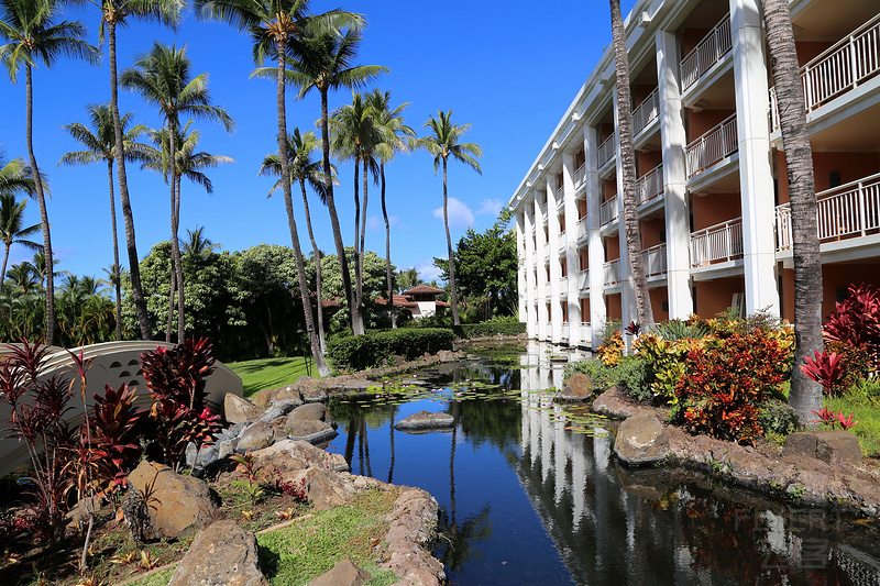 Maui--Grand Wailea a Waldorf Astoria Resort Outdoor Gardens (26).JPG