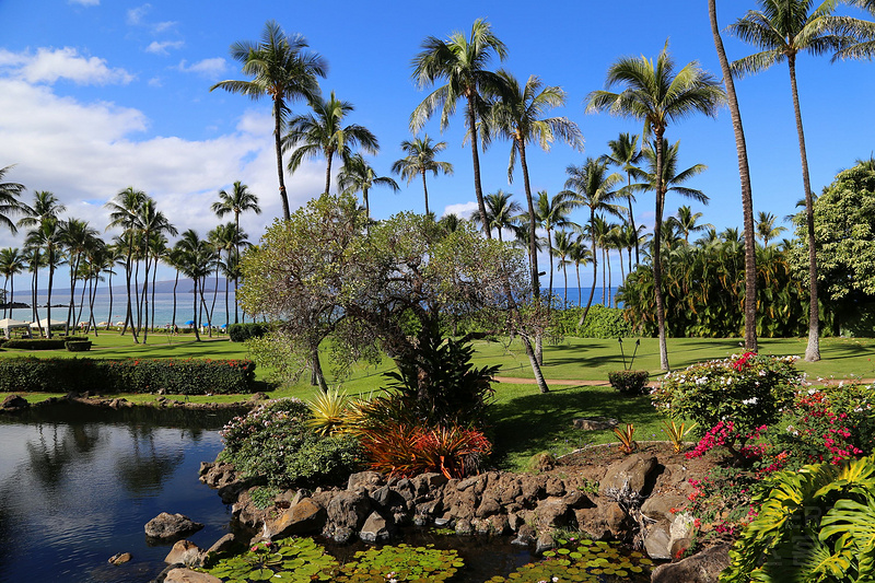 Maui--Grand Wailea a Waldorf Astoria Resort Outdoor Gardens (27).JPG