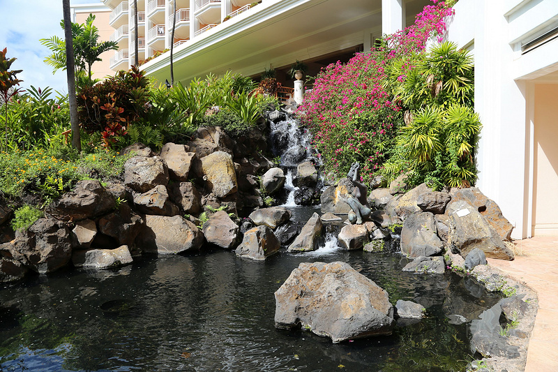 Maui--Grand Wailea a Waldorf Astoria Resort Outdoor Gardens (49).JPG