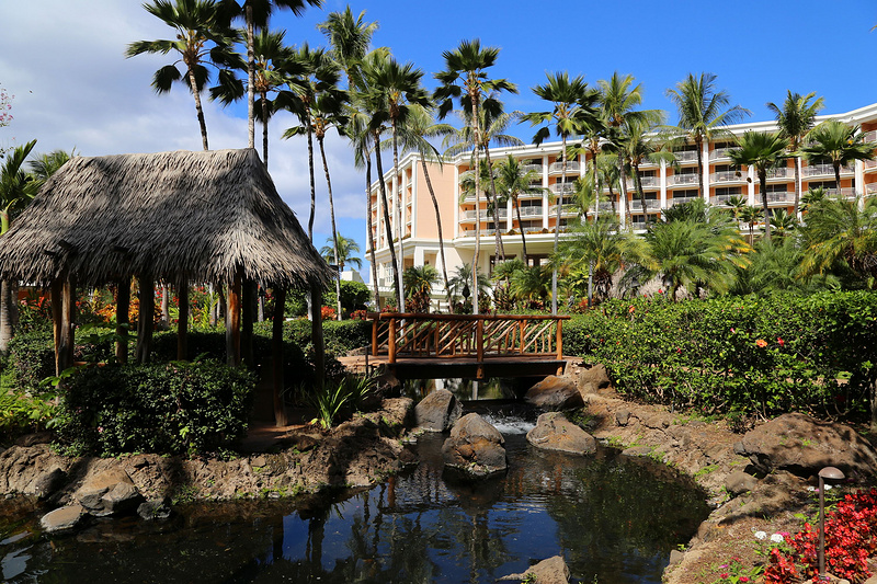 Maui--Grand Wailea a Waldorf Astoria Resort Outdoor Gardens (52).JPG