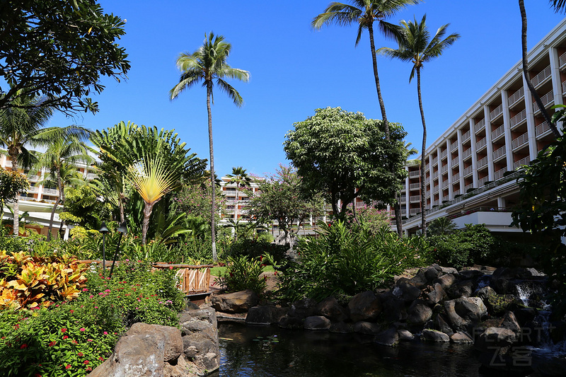 Maui--Grand Wailea a Waldorf Astoria Resort Outdoor Gardens (58).JPG