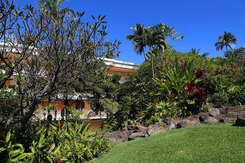 Maui--Grand Wailea a Waldorf Astoria Resort Outdoor Gardens (59).JPG